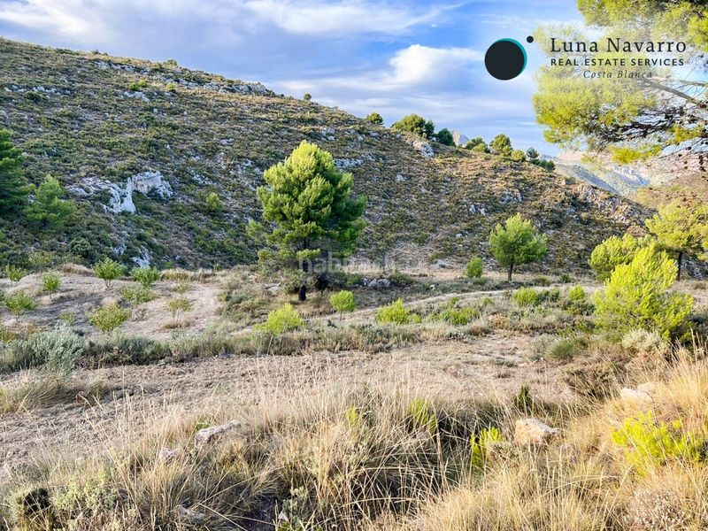 Foto f6f5cc56-80e7-492f-a7a3-a7b4c6ebab85. Finca rústica a calle san antonio 50 a Confrides