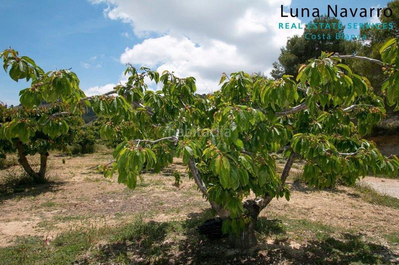 Foto 74e11f4b-be71-4244-9052-562e5df07c59. Masia amb aparcament a Confrides