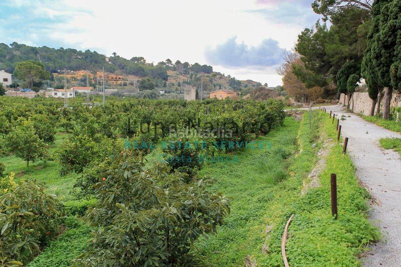 Foto 1cb52311-02ae-43a1-8784-96931051940d. Finca rústica a L´Olla Altea