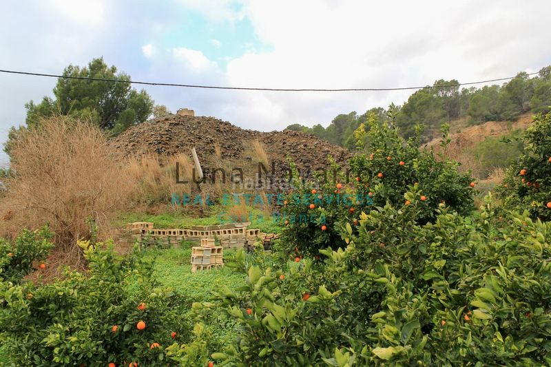 Foto 202d6bb6-c4e2-4878-8847-beff5701038f. Finca rústica a L´Olla Altea