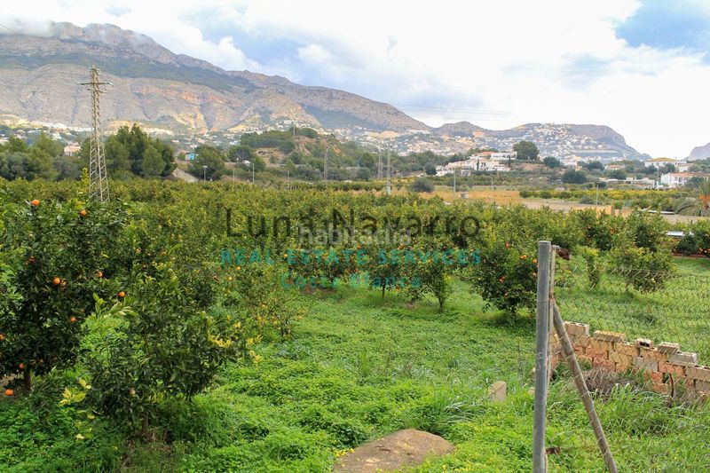 Foto 6d536902-2b16-4108-846b-921894eee7d1. Finca rústica a L´Olla Altea
