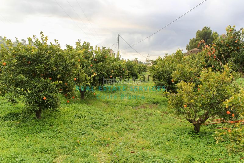 Foto b9f55fe4-c59b-46fd-ae37-e67849a1c8fb. Finca rústica a L´Olla Altea