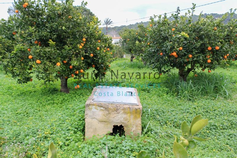 Foto da56b36d-252a-43fe-902b-56db2938fd40. Finca rústica a L´Olla Altea