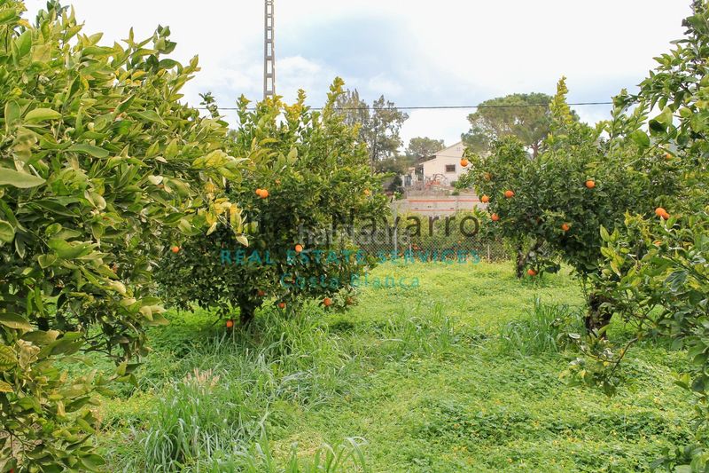 Foto de6c44b3-319b-4d54-bd5a-f1c047f58e32. Finca rústica a L´Olla Altea
