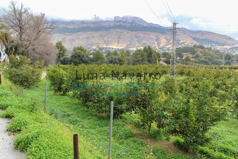 Foto ed67709a-e0a5-4322-8b25-0231268f30b8. Finca rústica a L´Olla Altea