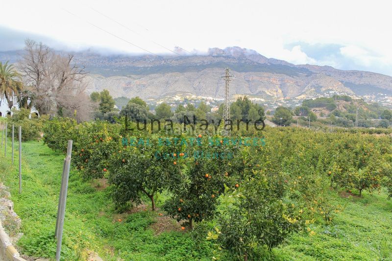 Foto f3049f69-62c3-441e-ad07-9385a5c7d774. Finca rústica a L´Olla Altea