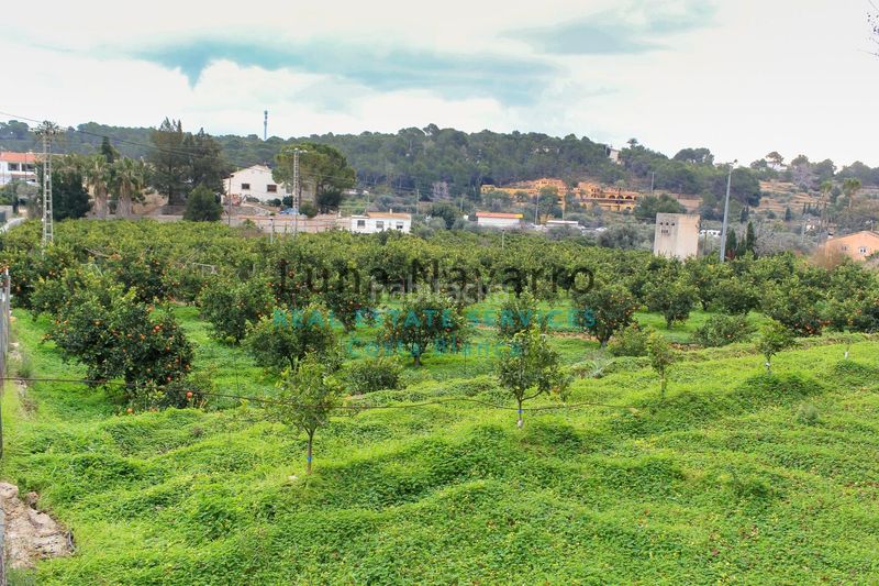 Foto f86cb128-8a28-4357-a5c8-285e830e39e1. Finca rústica a L´Olla Altea
