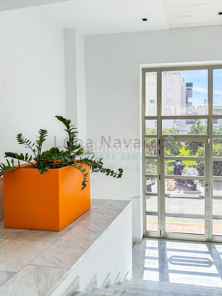 Foto 674fe1ab-0265-41c3-8b8b-72c11228b25b. Edifici a partida cap negret a L´Olla Altea