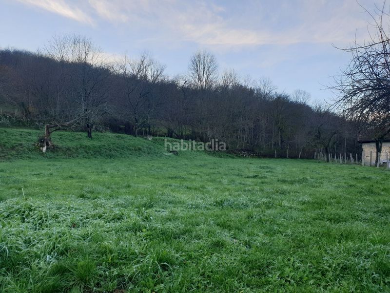 Foto 8e82a163-6094-4760-abaa-143a5d2e7f4c. Terreny residencial a Valle de Mena