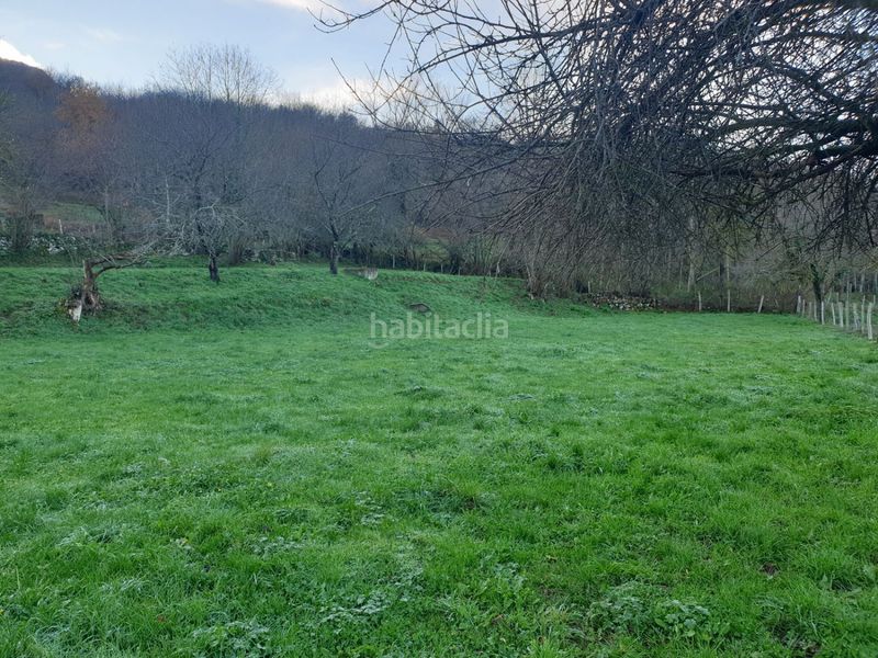 Foto eee13d07-f6ca-420b-9a14-f678d8b05ee2. Terreny residencial a Valle de Mena