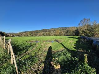 Finca rústica a Villaverde de Trucíos. En venta terreno rústico en valle de villaverde