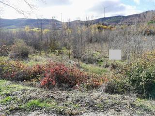 Finca rústica  El pardo. Terreno en venta en modúbar de la cuesta