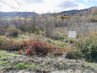 Propriété  El pardo. Terreno en venta en modúbar de la cuesta