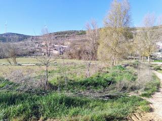 Finca rústica  Ampliación casco modubar. Terreno en venta en los ausines