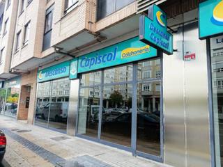 Lloguer Local Comercial  De la constitución española. Local en alquiler en gamonalcapiscol