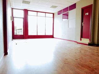 Business premise in de la Constitución Española