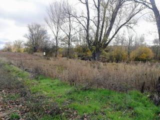 Propriété  El pardo. Terreno en venta en modúbar de la cuesta