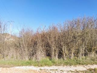 Finca rústica  Ampliaci. Terreno en venta en modúbar de la cuesta