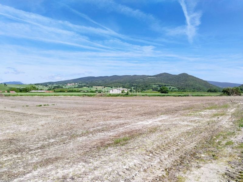 Foto 70dd5953-57f7-4efc-9755-e24d8b3fcd86. Finca rústica a Puebla de Arganzón (La)