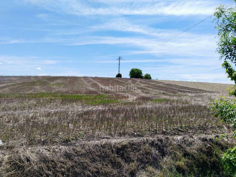 Foto e0fc4101-680d-47a6-9c2f-cd81c91b9181. Finca rústica a Puebla de Arganzón (La)