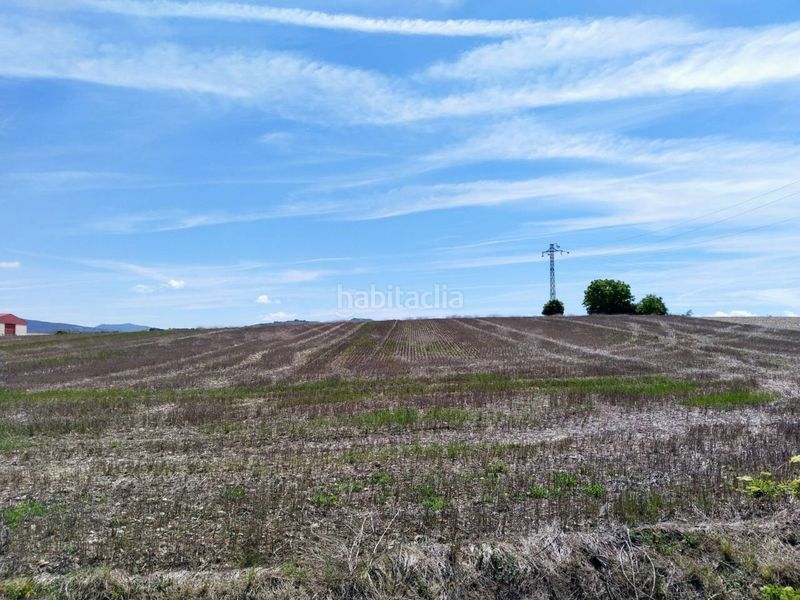 Foto e8a0c5a0-57c2-4e8d-9c82-6cc2f08bfcf9. Finca rústica a Puebla de Arganzón (La)