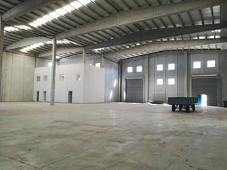 Miete Fabrikhalle in Santo Domingo. Nave industrial en alquiler en algete