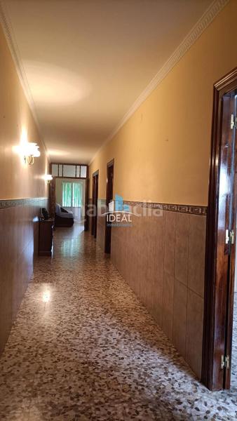 Foto 15b188c1-dcfb-4f7d-83e9-3d44c81f2876. Casa a Haba (La)