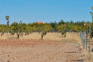 Terreny residencial a Villafranca de los Barros. Parcela de 10.000m2 en san isidro