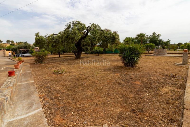 Foto c77ca0e5-db14-413d-9e77-88a21dc2d39a. Casa a avenida avenida campomanes 37 a Dehesilla de Calamón - Campomanes Badajoz