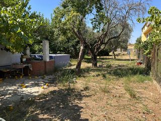 Masia en Carretera de Sevilla - Los Montitos. Casa con terreno en la ctra. de sevilla