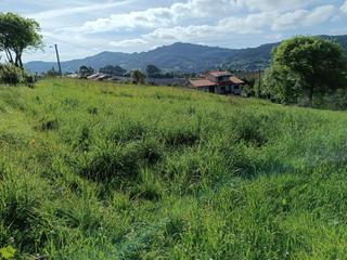 Residential Plot in Selorio - Tornón. Finca edificable a 6,5 km de la playa de rodiles
