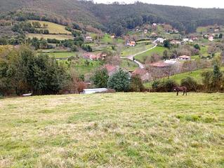 Rural plot in Camín de pumarinos 61