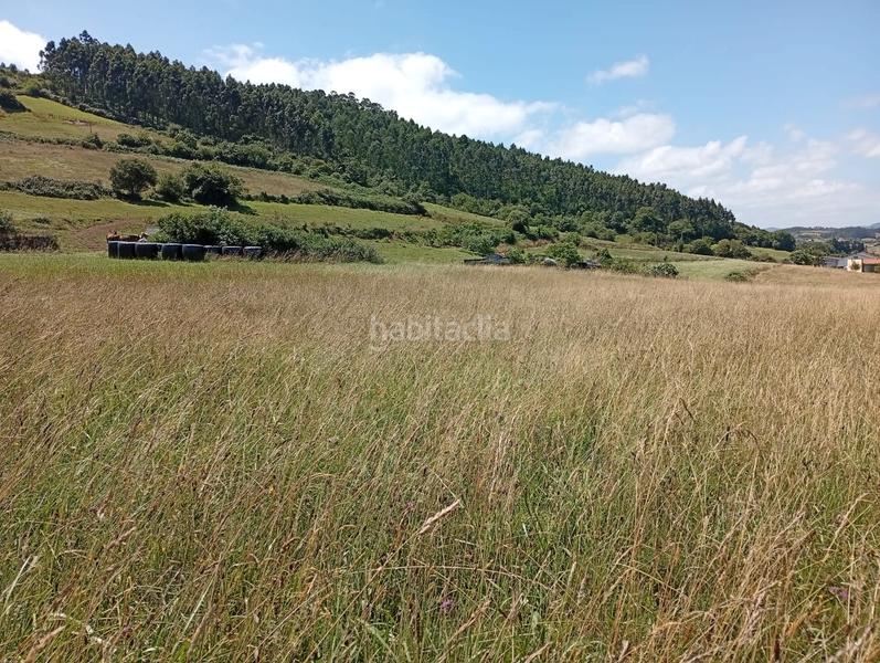 Foto bc37b07b-0298-49fe-a214-64e6692ef5b4. Landgut in n/a in Carreño