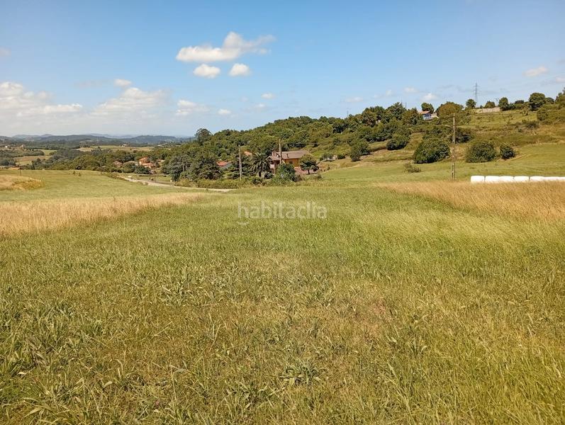 Foto dce2fd1a-f6f4-40cc-993c-90200da53b92. Landgut in n/a in Carreño