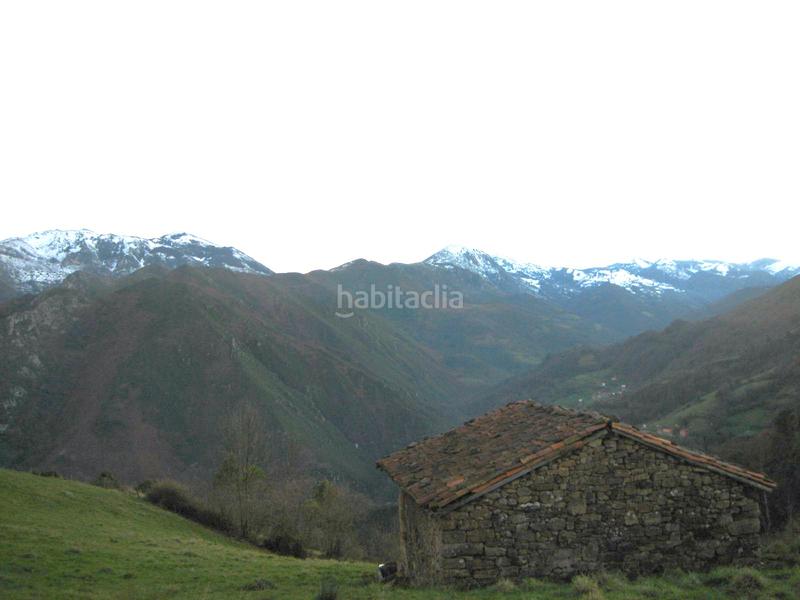 Foto 17139d98-11a8-403d-96ee-446438856617. Finca rústica a n/a a Grado