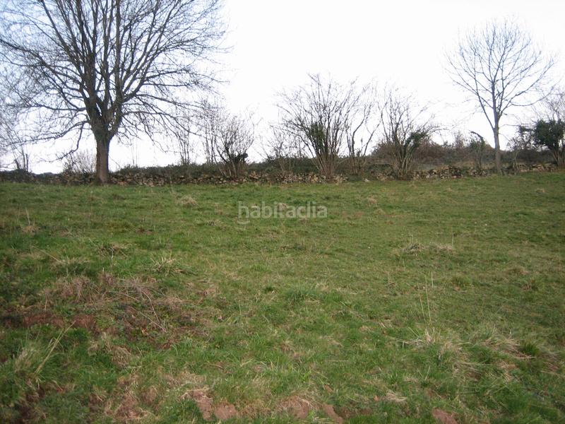 Foto 1ee5c30d-63a0-4bf1-af67-fd1bd4d2bfa4. Finca rústica a n/a a Grado