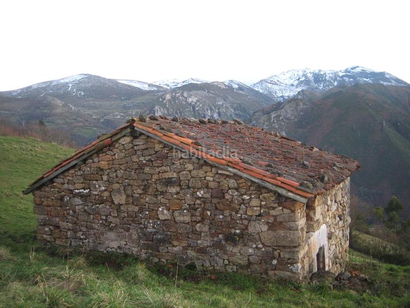 Foto 3f4c5169-cde2-489a-b122-11b006cdac84. Finca rústica a n/a a Grado