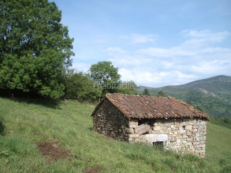 Foto 4ffc35a3-19ef-4a9d-805a-91001a4d72c8. Finca rústica a n/a a Grado