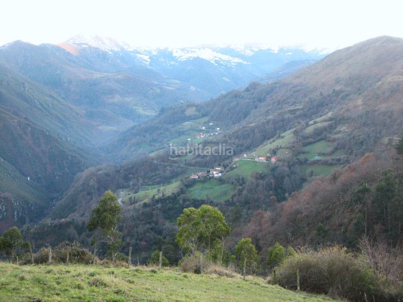 Foto 51a5181d-c91a-4948-bba4-fb138faa8482. Finca rústica a n/a a Grado