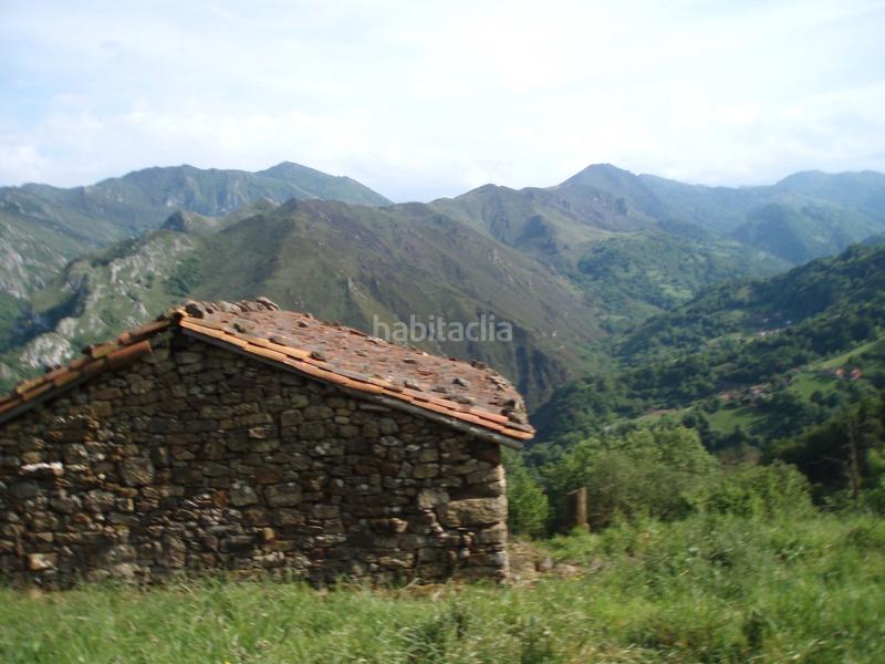 Foto 52de85d1-0922-43c2-9053-1b6621299270. Finca rústica a n/a a Grado