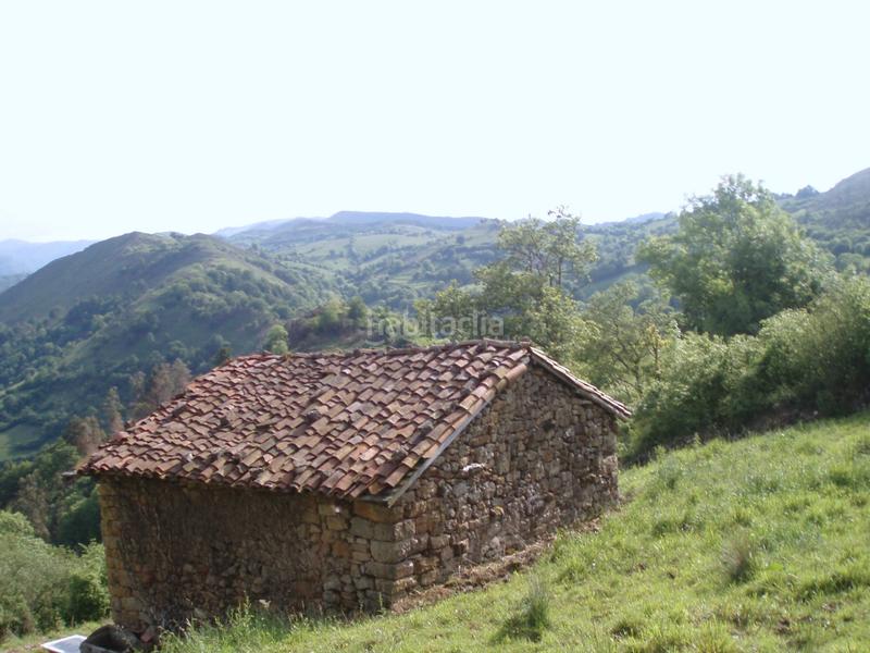 Foto 59654dd6-40b5-4149-9ae6-1e387e04c059. Finca rústica a n/a a Grado