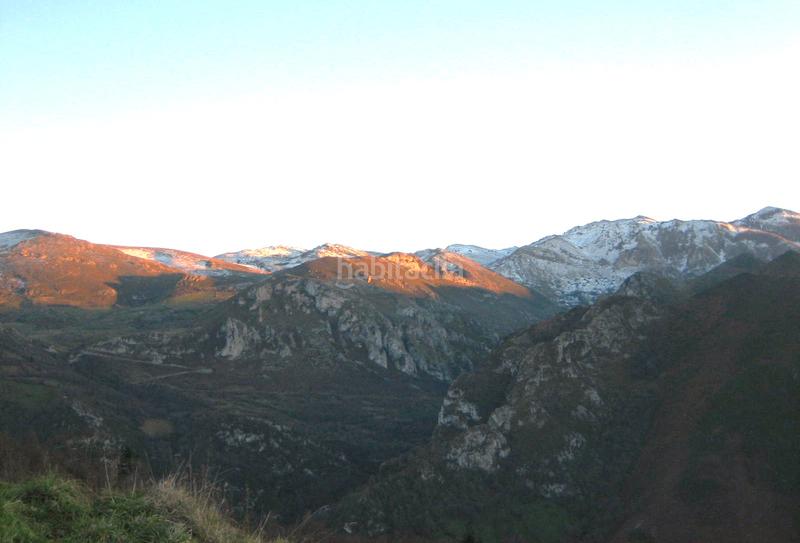 Foto 63f19c3b-371f-48bd-afaa-a40e0d45e270. Finca rústica a n/a a Grado