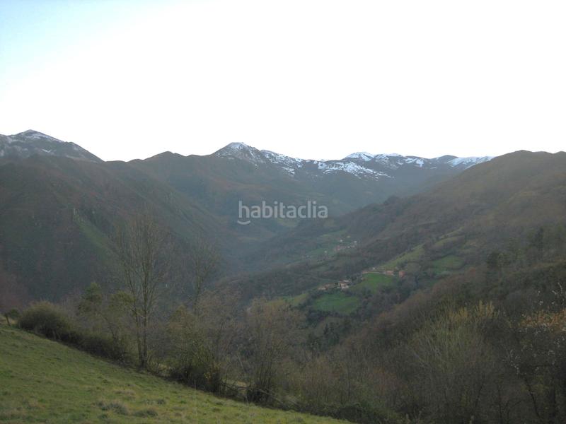 Foto 6e3b023f-c5f9-406e-a5a7-1d6a32e73301. Finca rústica a n/a a Grado