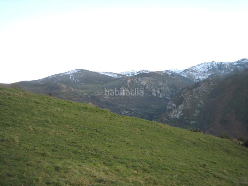 Foto 8154be43-29cc-4e94-9d7e-c4ce163abd27. Finca rústica a n/a a Grado