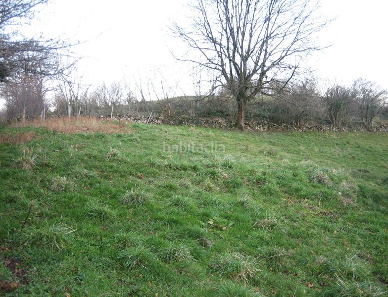 Foto 81bc1e8c-eaff-448e-8194-ffaf7bc81cd8. Finca rústica a n/a a Grado