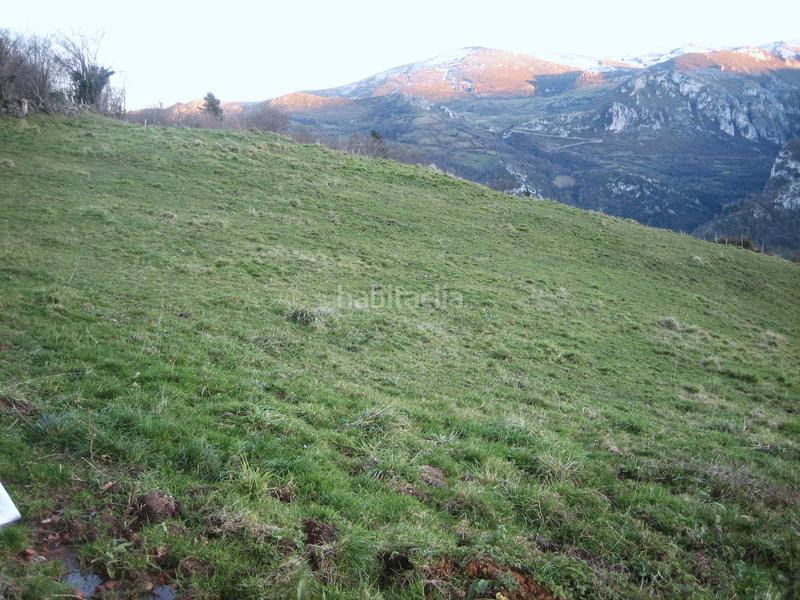 Foto 821e6d64-891b-47f7-87eb-aa4a776cf225. Finca rústica a n/a a Grado