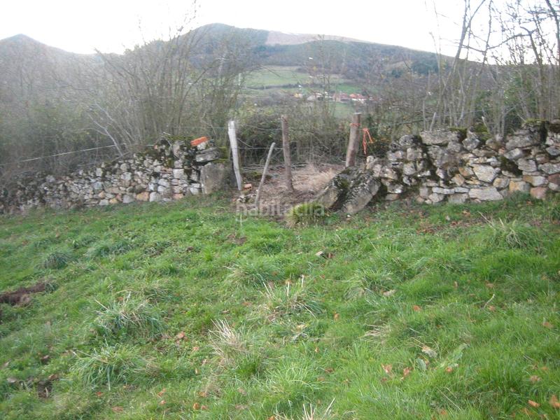 Foto 87e97235-0d08-4017-8de5-c82d1787c6c7. Finca rústica a n/a a Grado