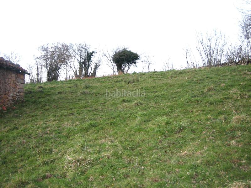 Foto 9146e5f1-676c-4b74-a909-17e626e21c37. Finca rústica a n/a a Grado