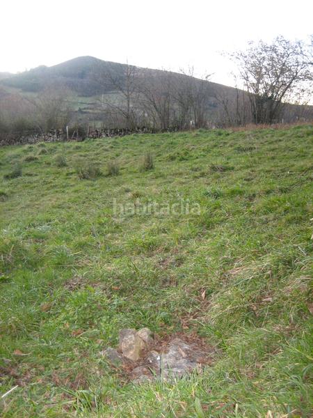 Foto a35bbc09-9ba2-4c87-8394-793a6cb9cdb0. Finca rústica a n/a a Grado