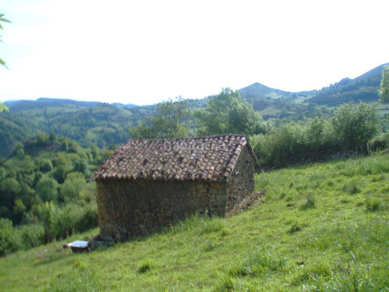 Foto a5c83845-8672-4be0-bfe9-c1bc2d36dfd9. Finca rústica a n/a a Grado